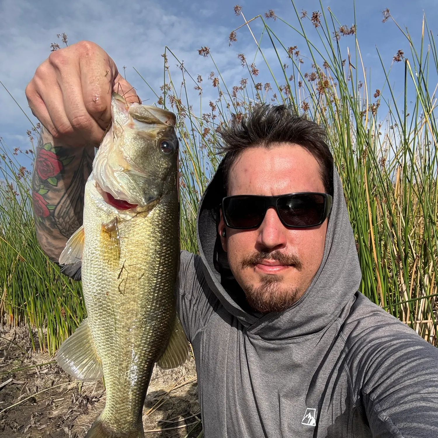 Largemouth bass caught on Fishbrain