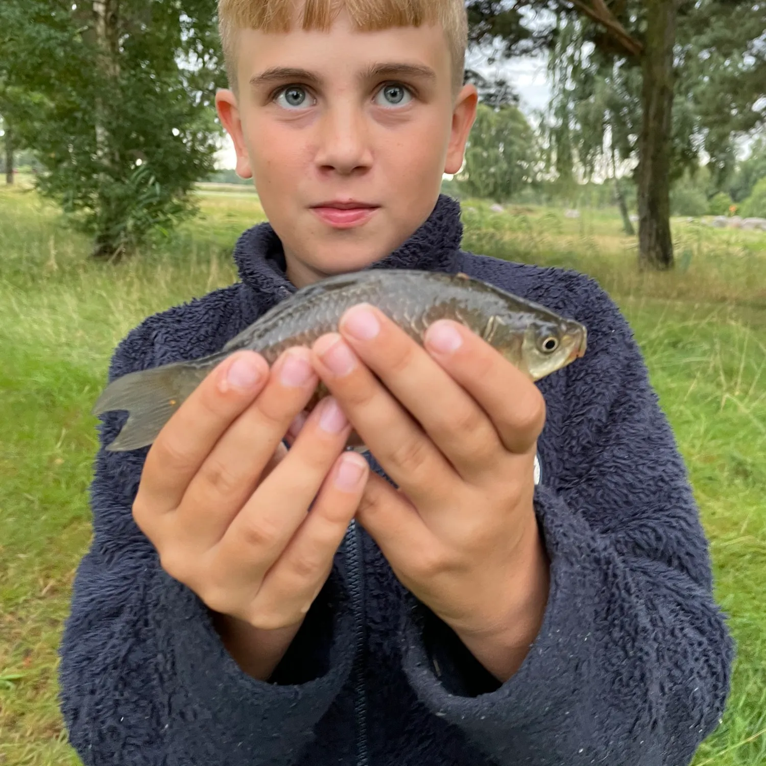 The most recent Crucian carp catches on Fishbrain