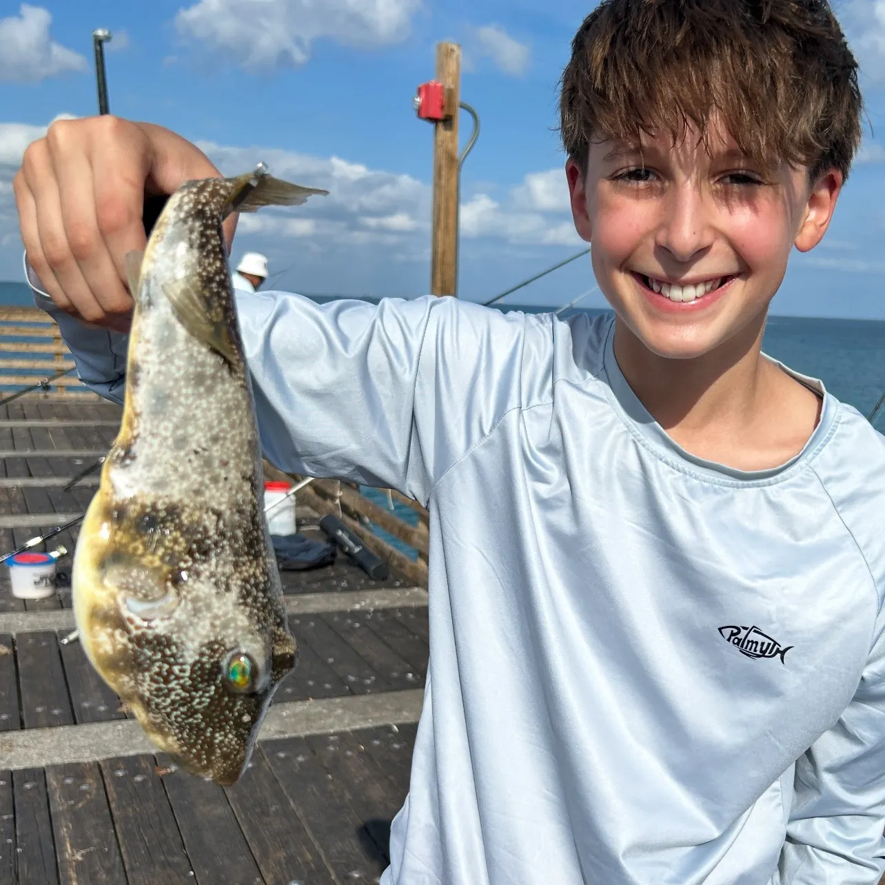 The most recent Southern puffer catches on Fishbrain