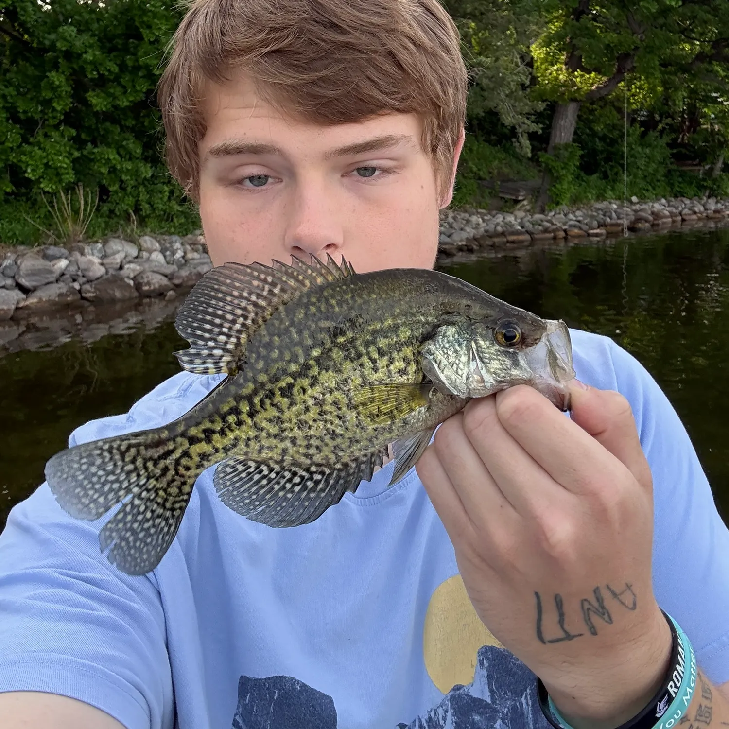 The most recent Black crappie catches on Fishbrain