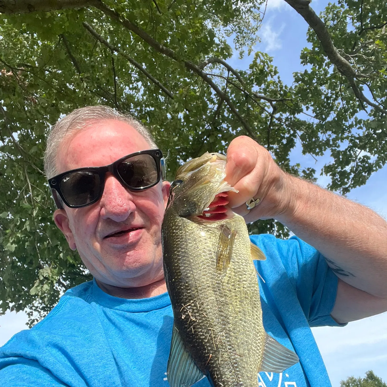 Largemouth bass caught on Fishbrain