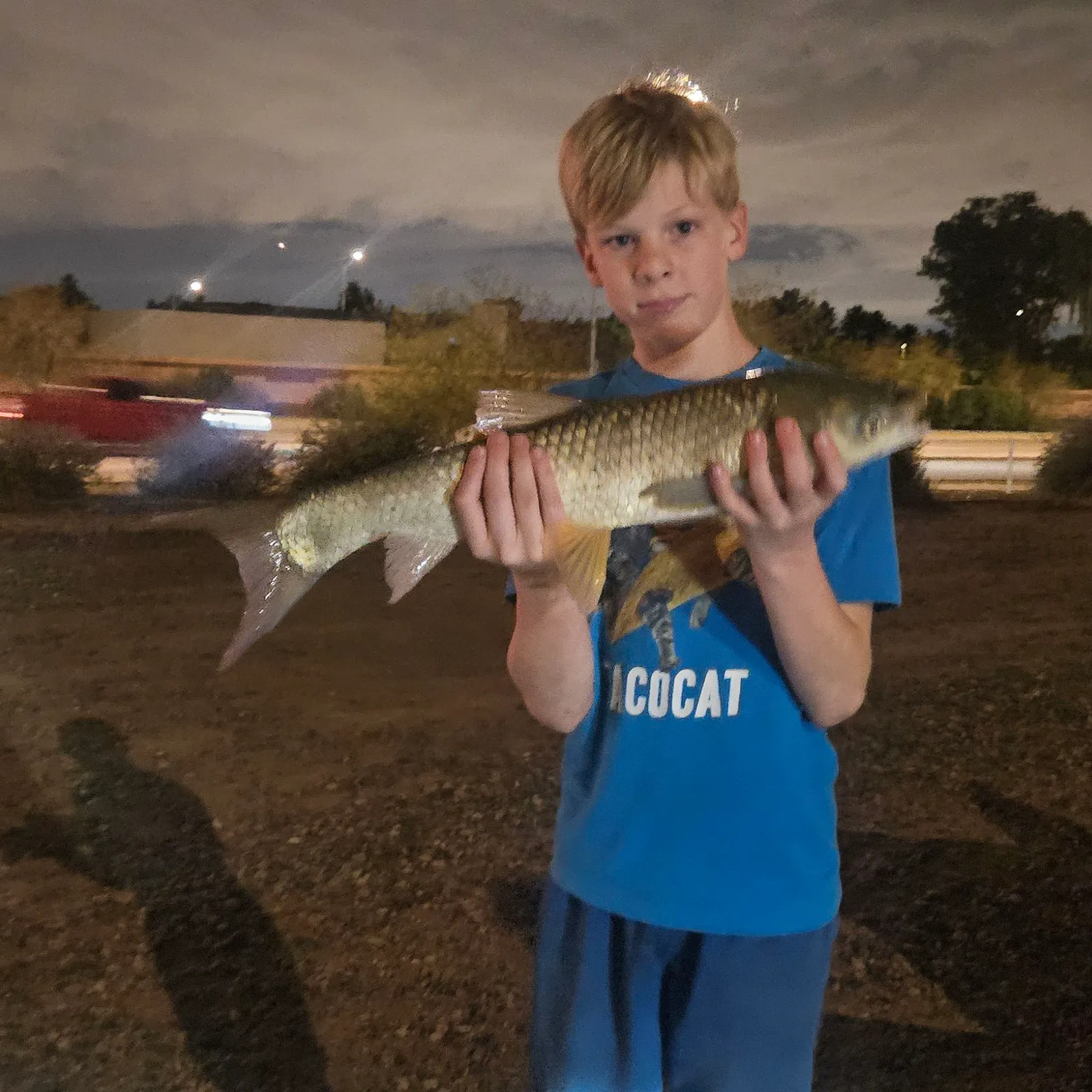 The most recent Grass carp catches on Fishbrain