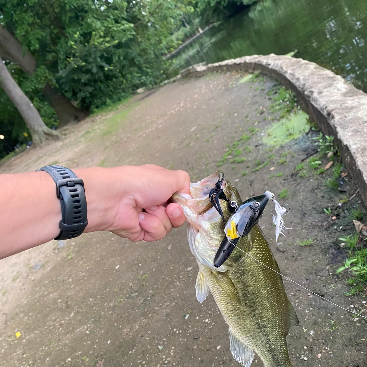 catch