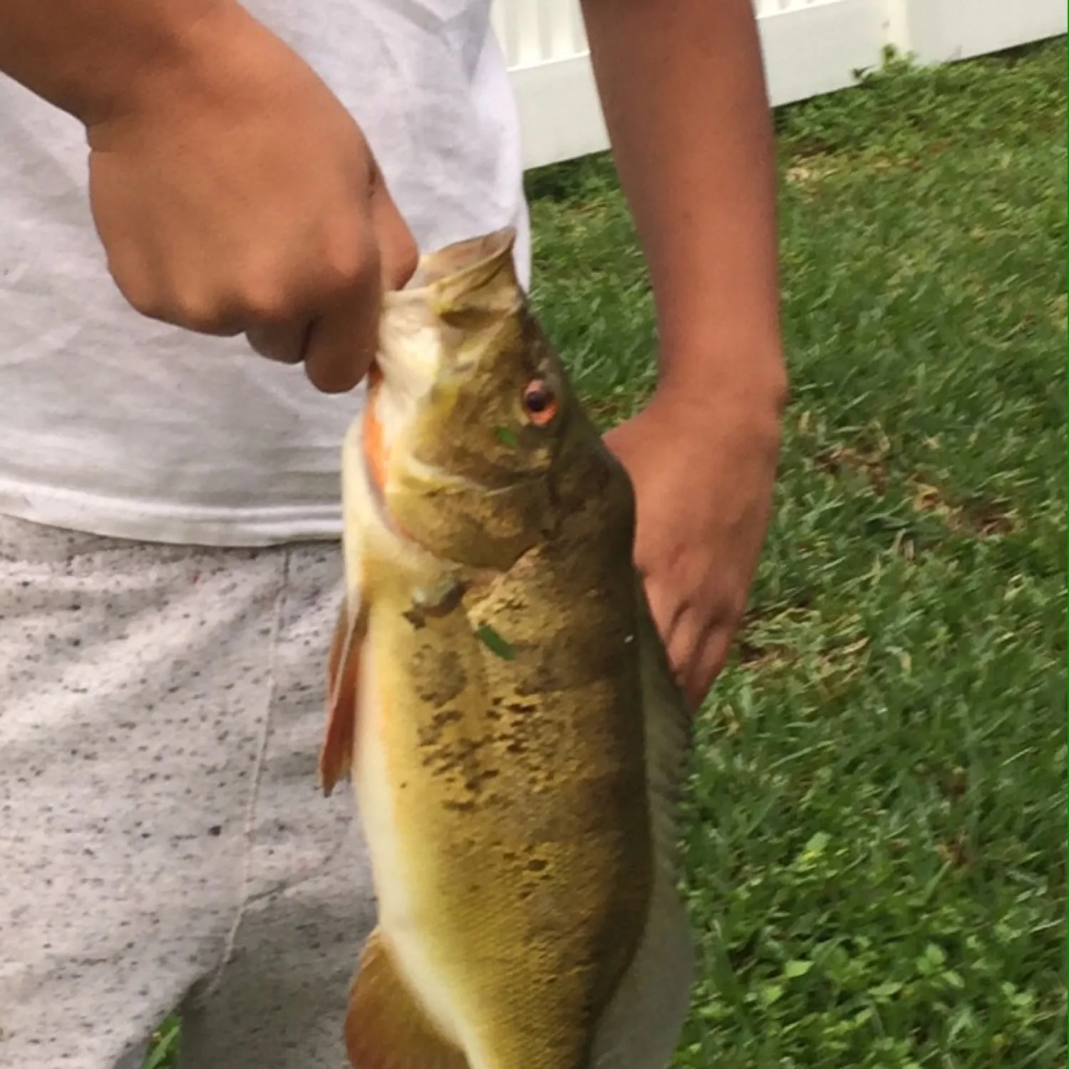 angler catch