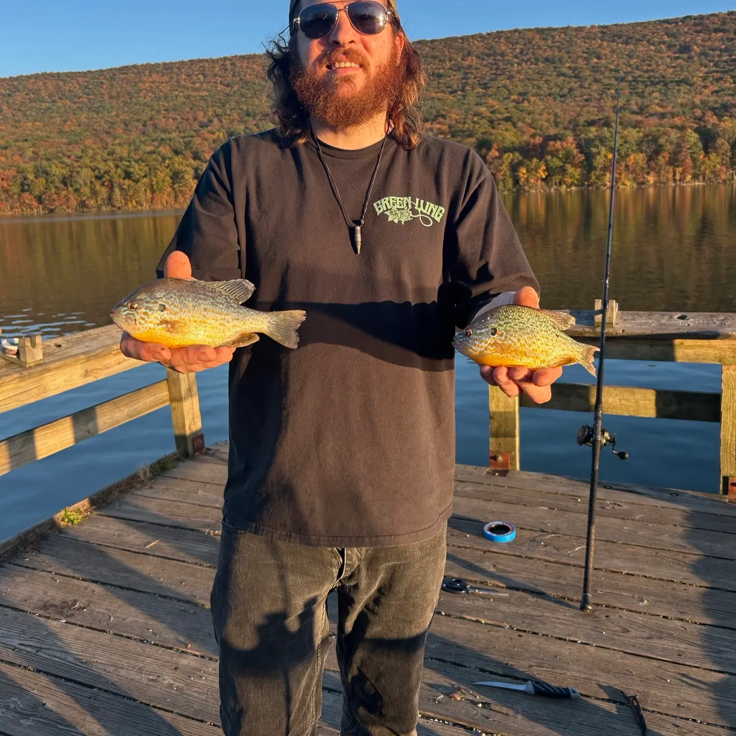 Pumpkinseed caught on Fishbrain