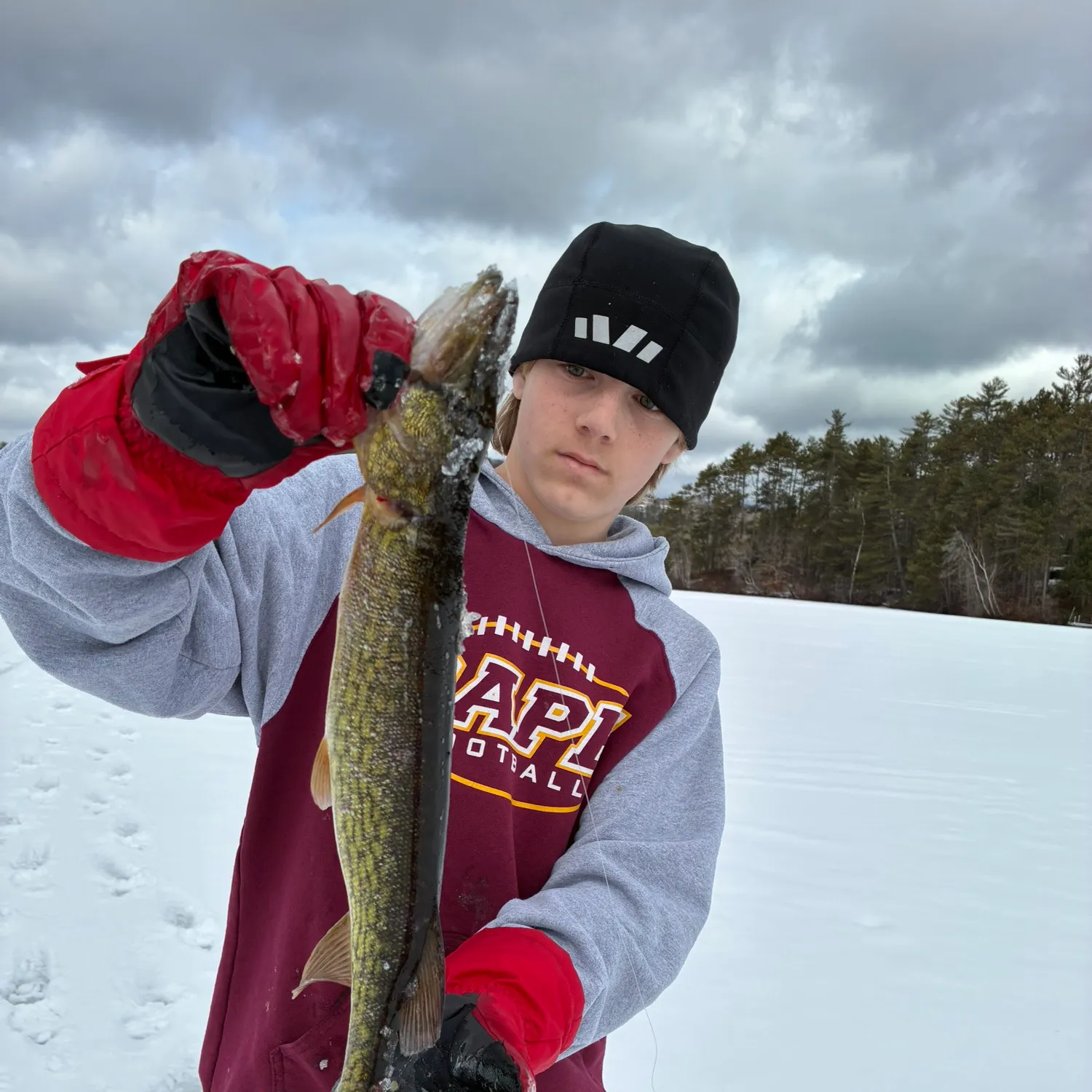 The most recent Chain pickerel catches on Fishbrain