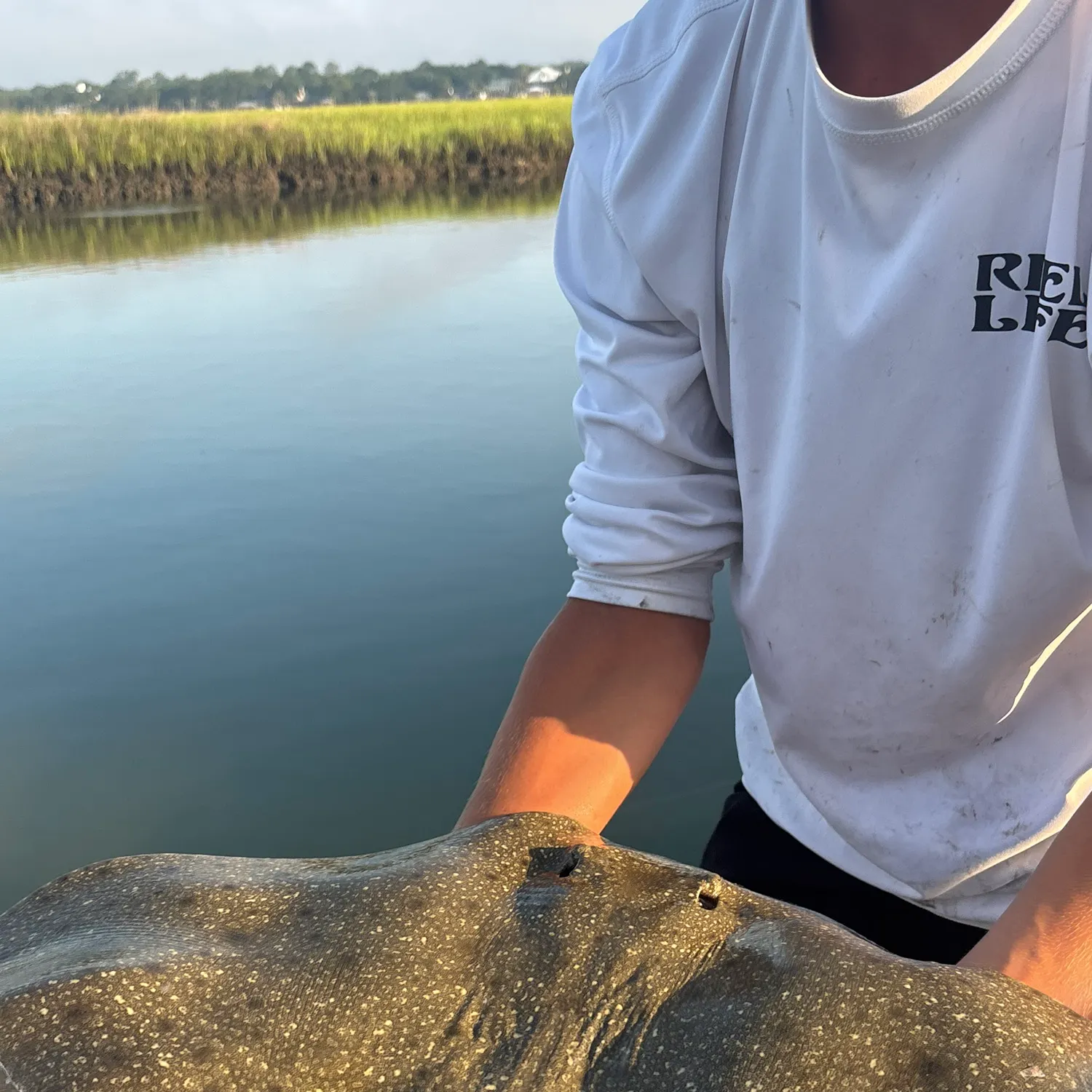 The most recent Backwater butterfly ray catches on Fishbrain