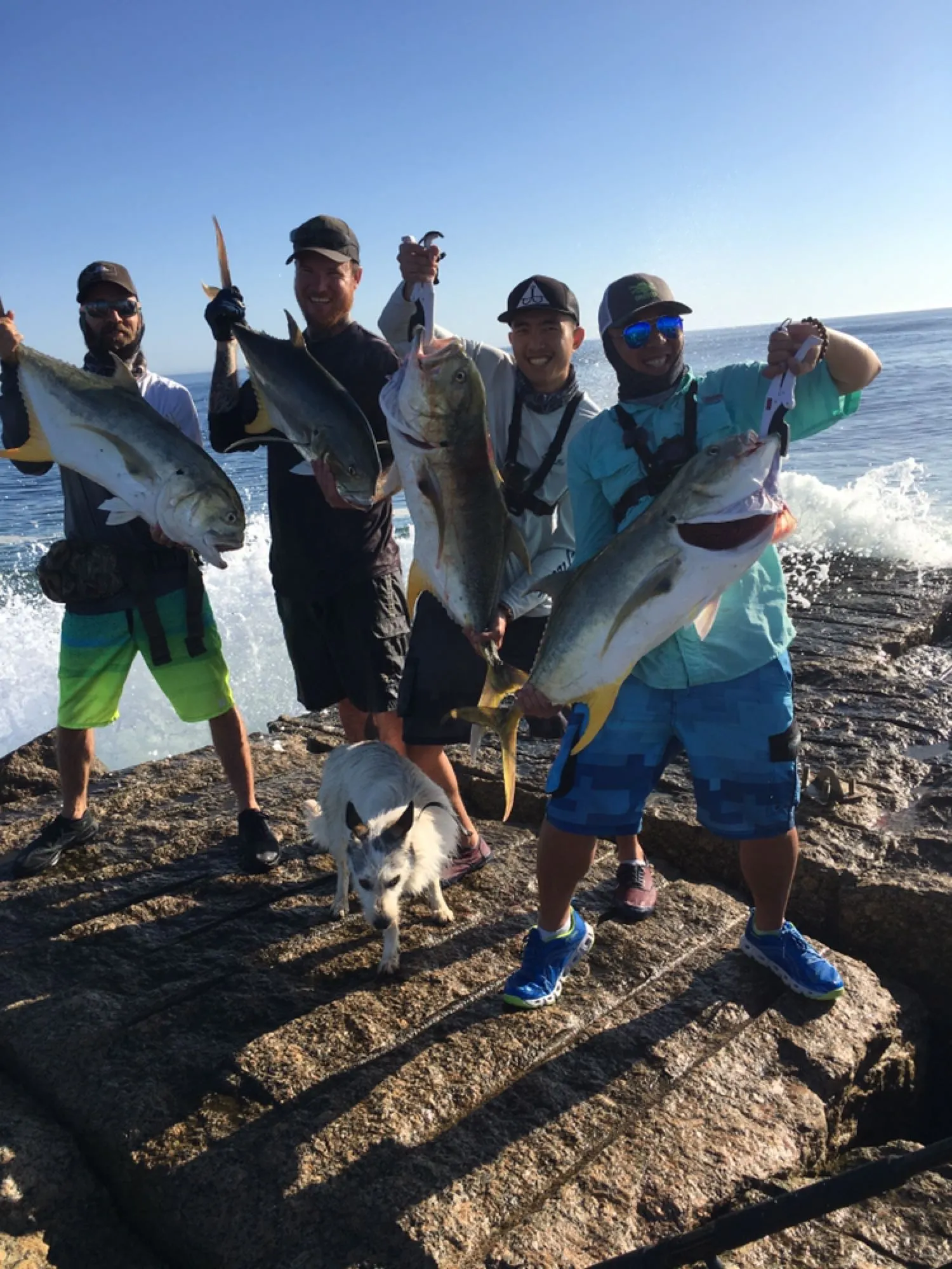 Post image from jng66953