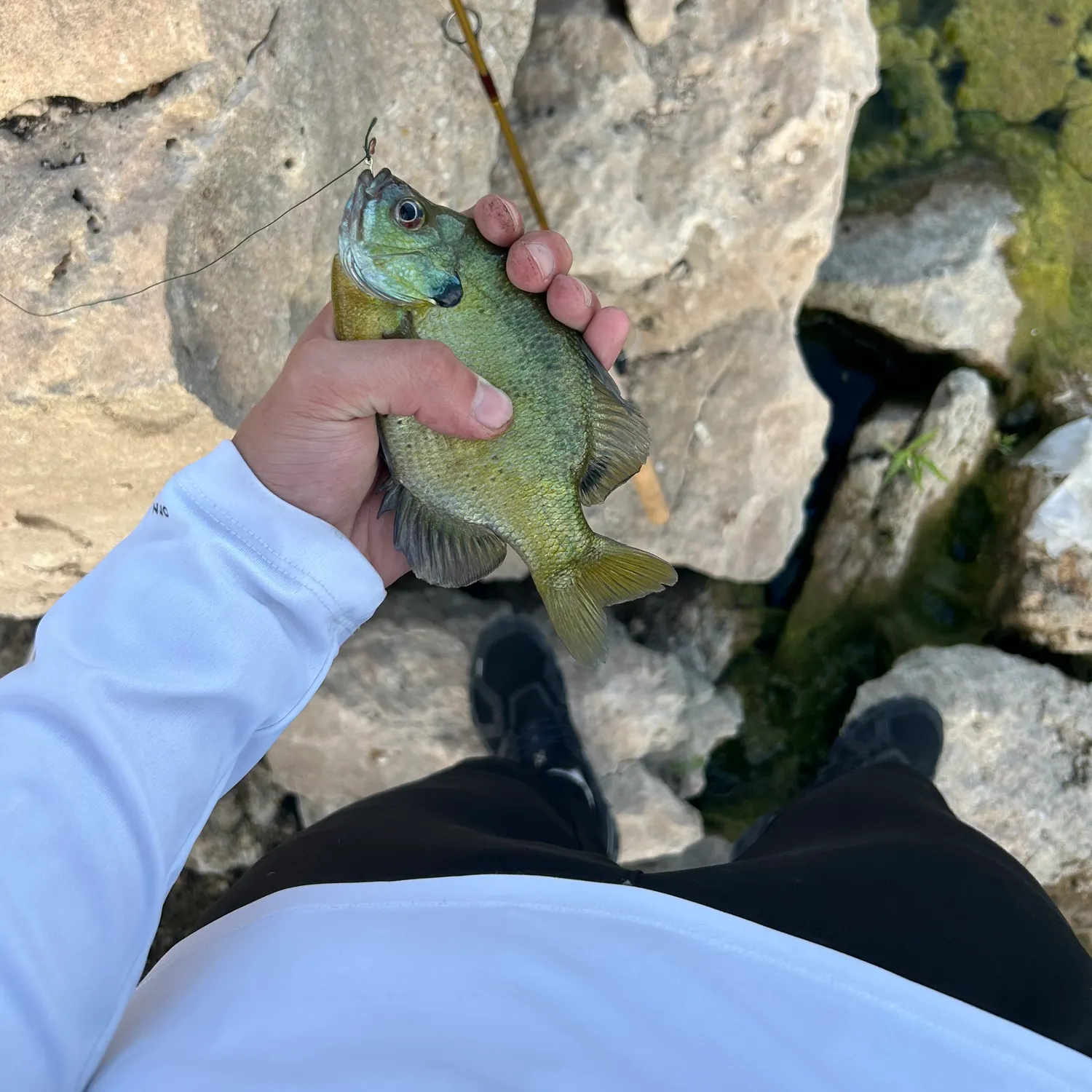 most liked catch image