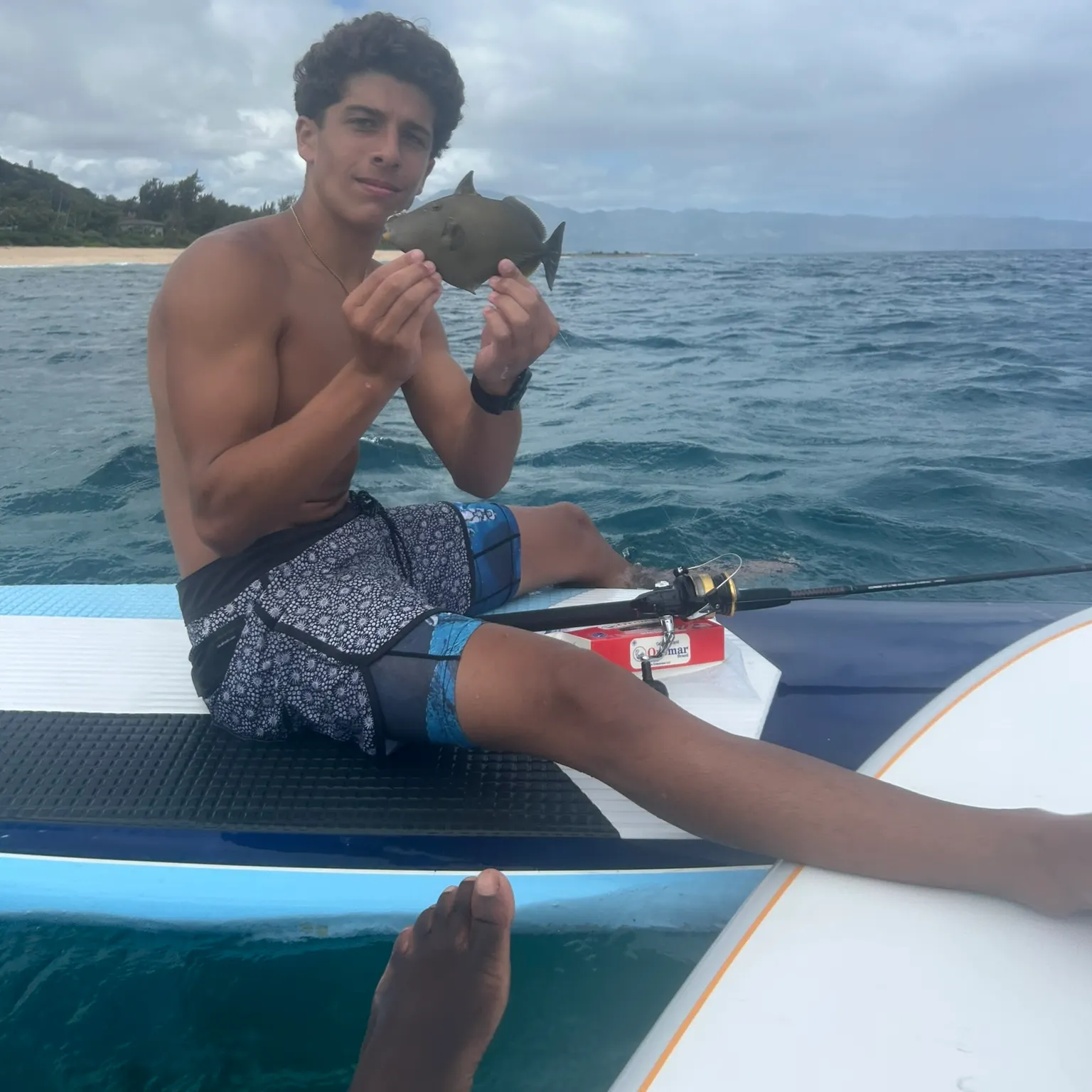 The most recent Bridled triggerfish catches on Fishbrain