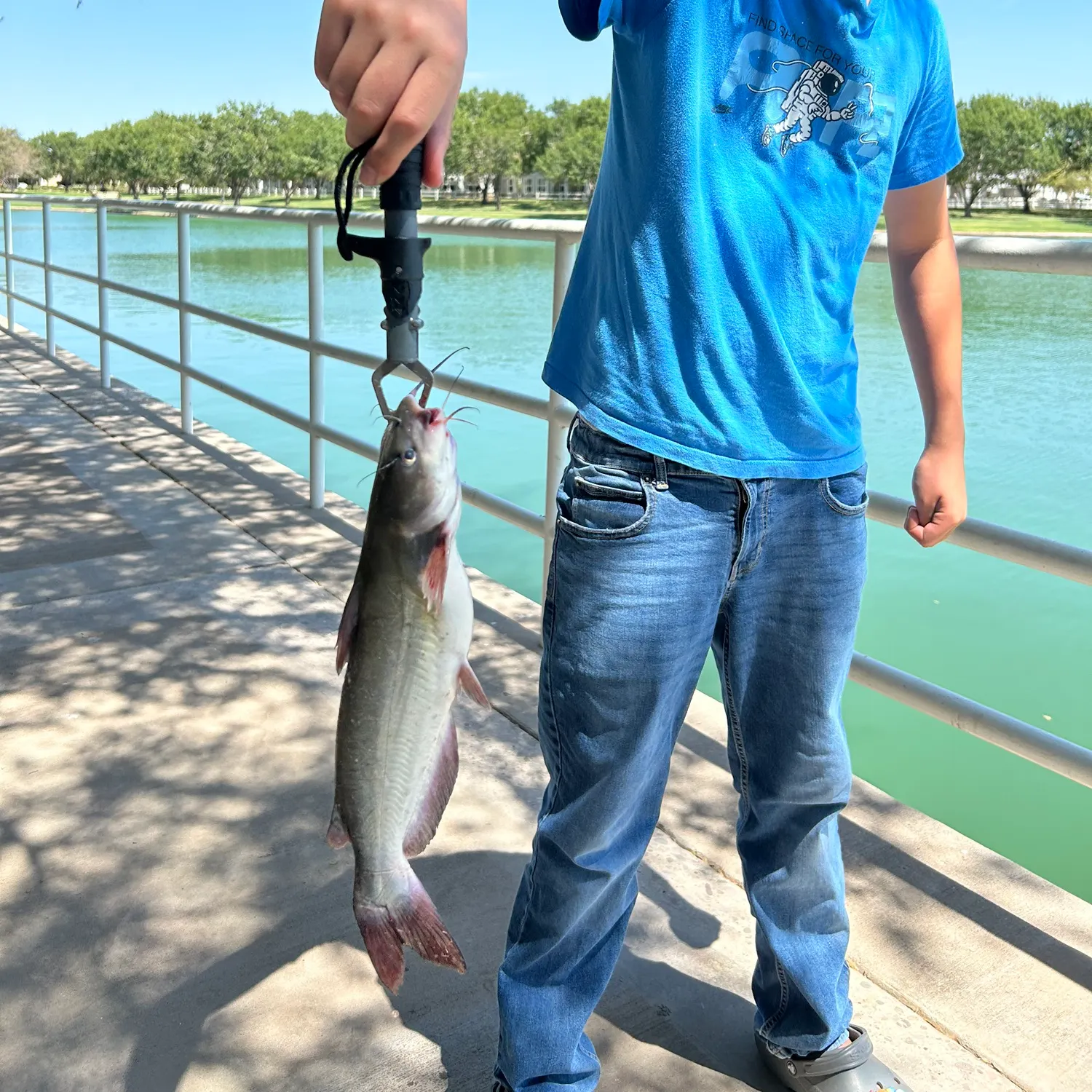 Channel catfish caught on Fishbrain
