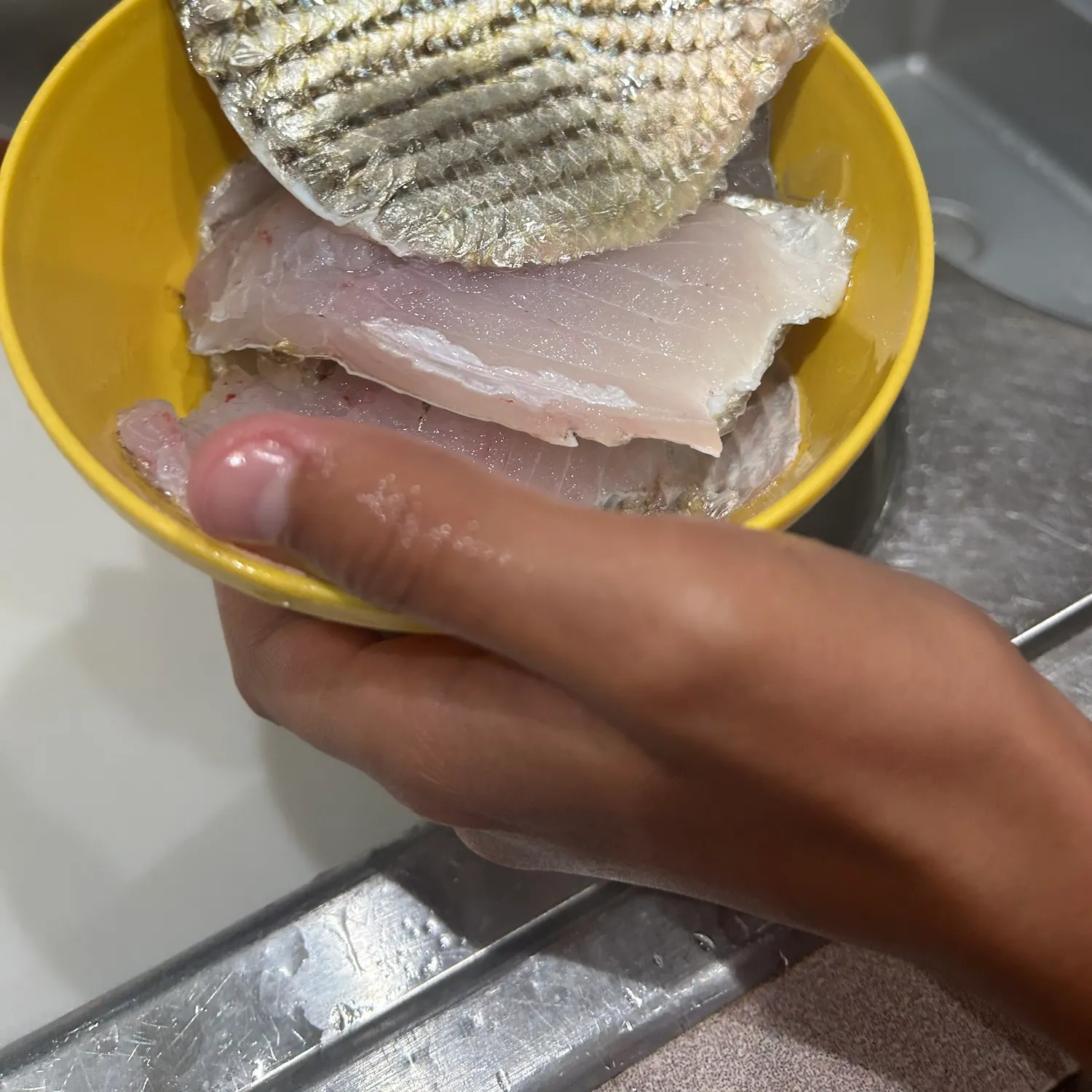 The most recent Striped mojarra catches on Fishbrain