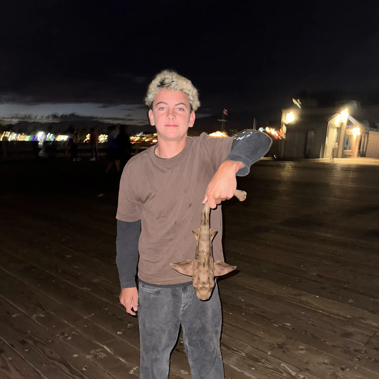 Horn shark caught on Fishbrain