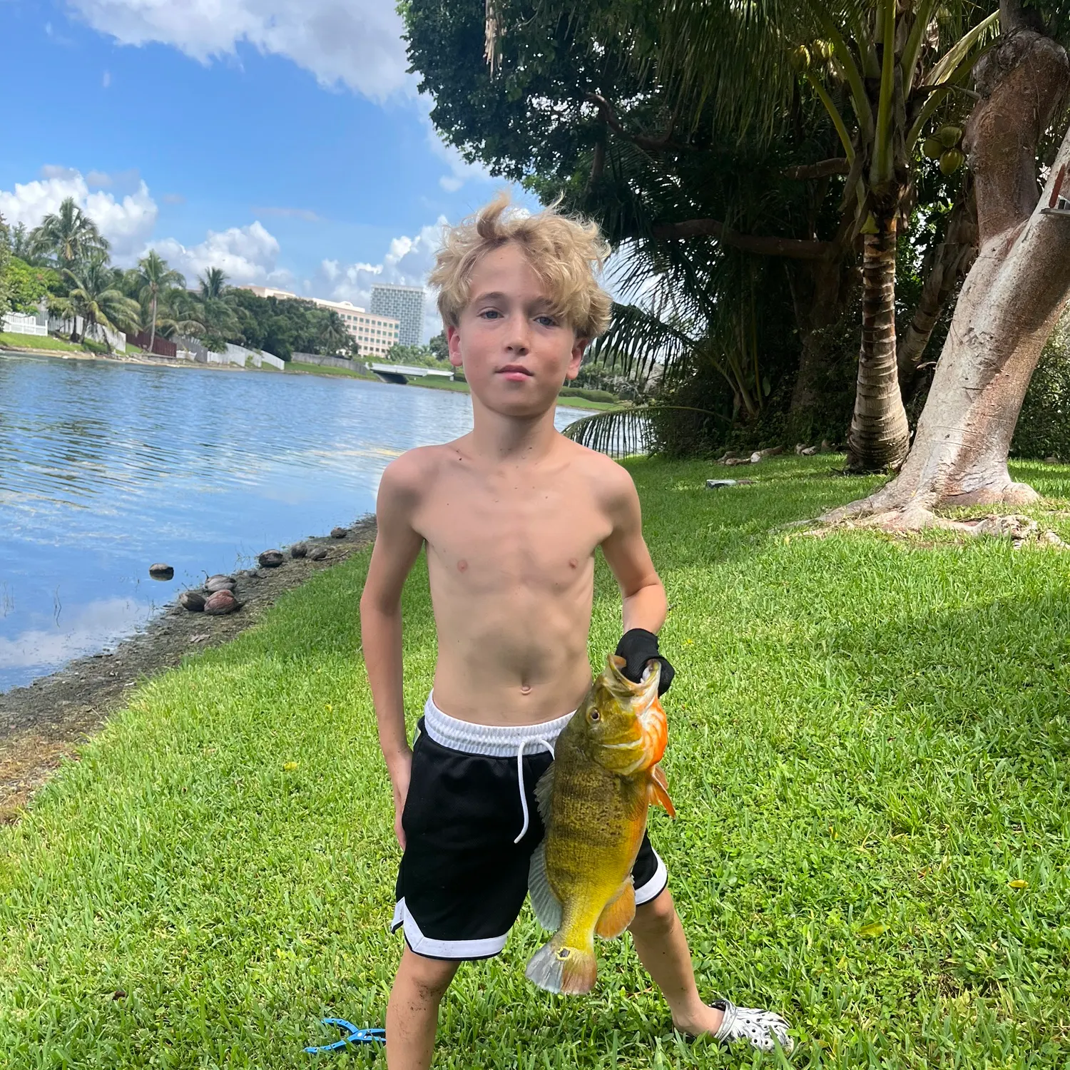 The most recent Butterfly peacock bass catches on Fishbrain