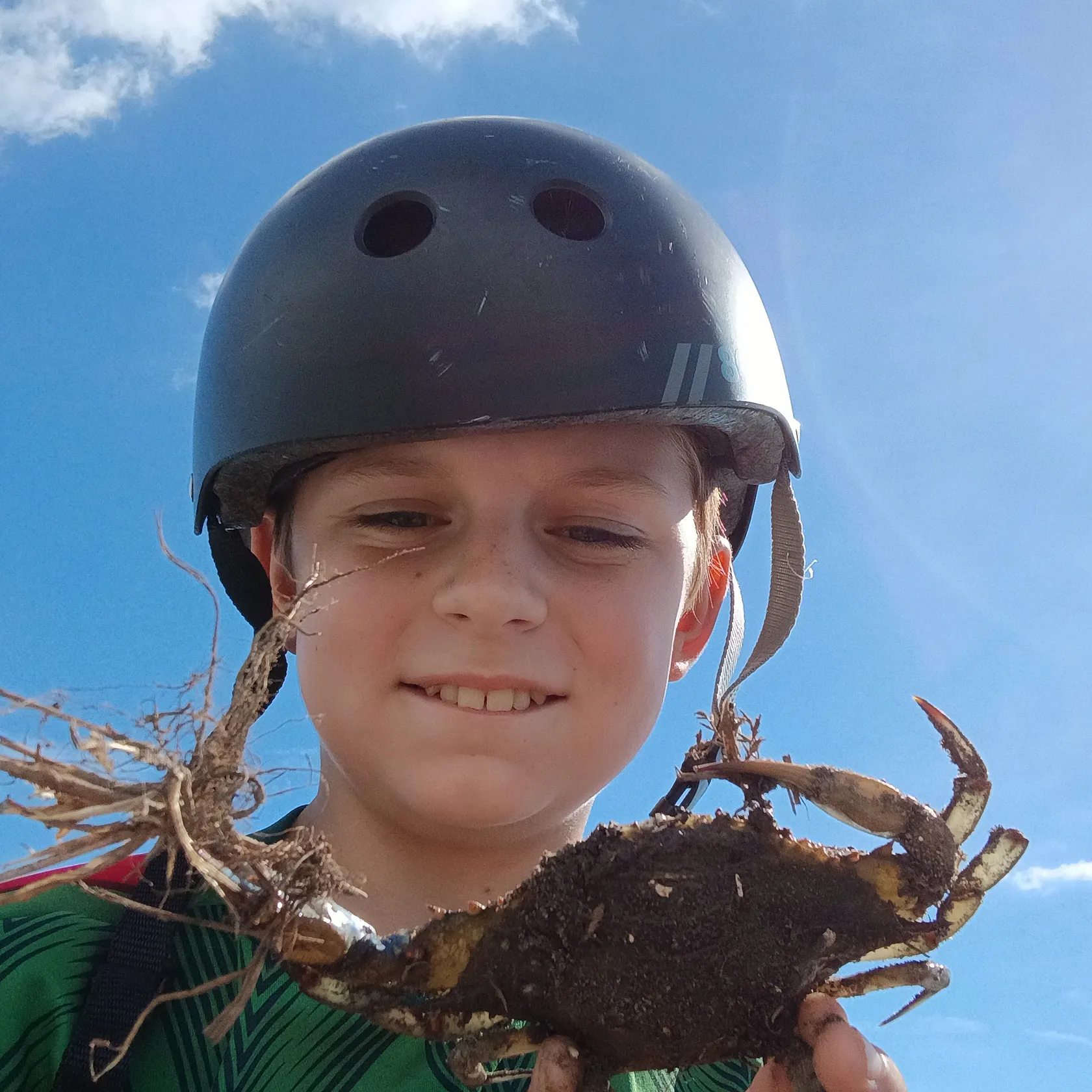 The most recent Blue crab catches on Fishbrain