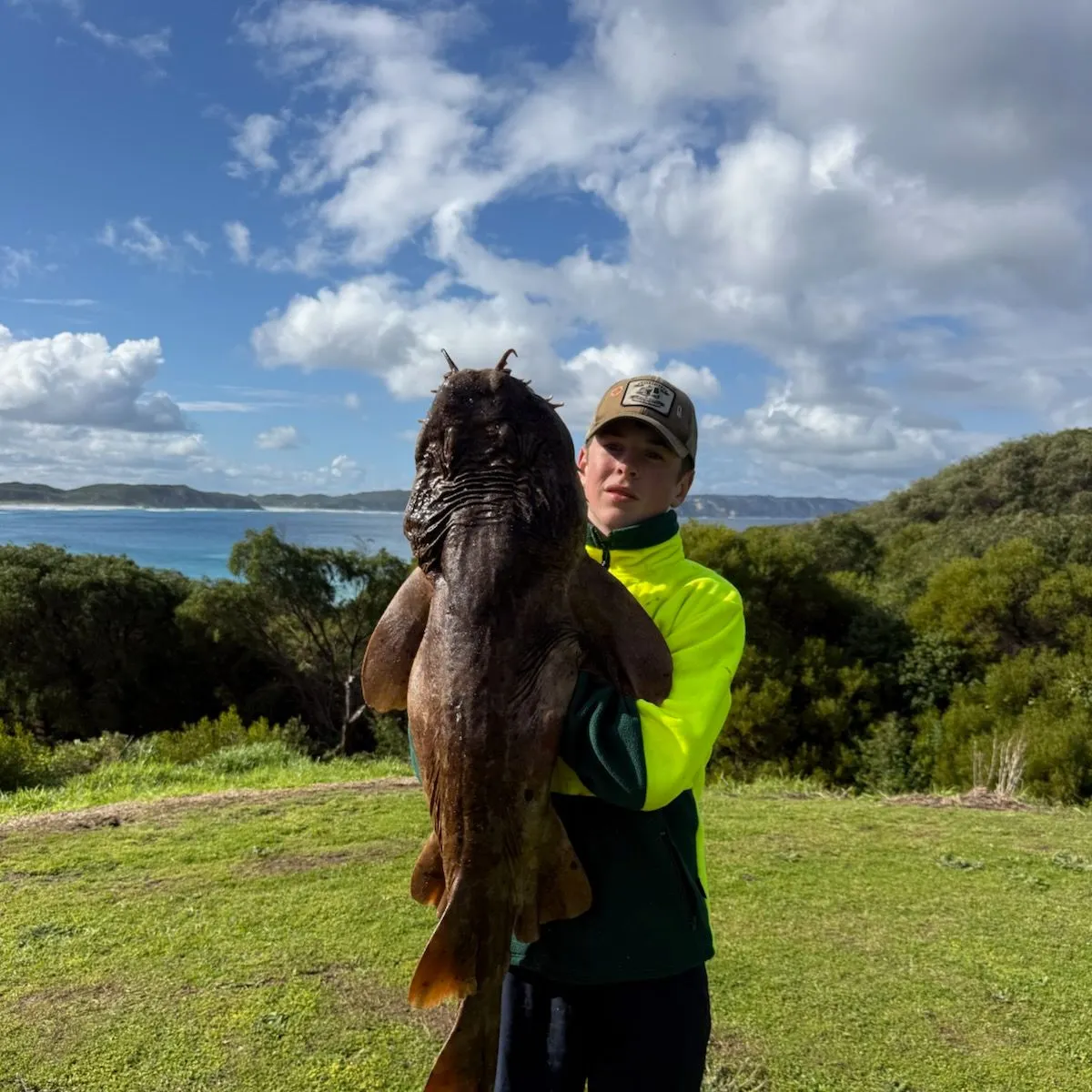 The most recent Tasselled wobbegong catches on Fishbrain