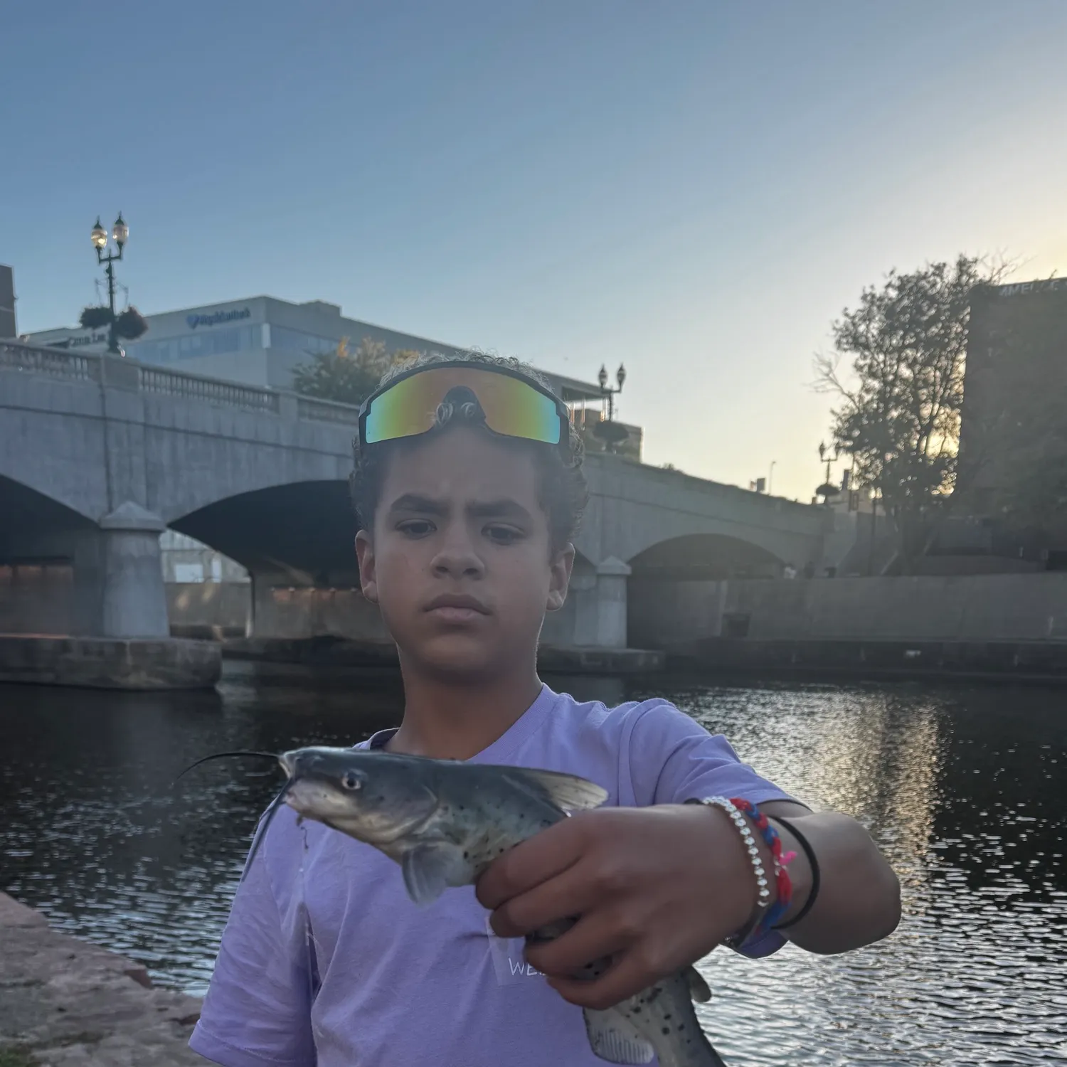 Channel catfish caught on Fishbrain