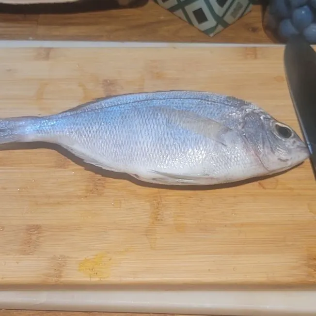 The most recent Black seabream catches on Fishbrain