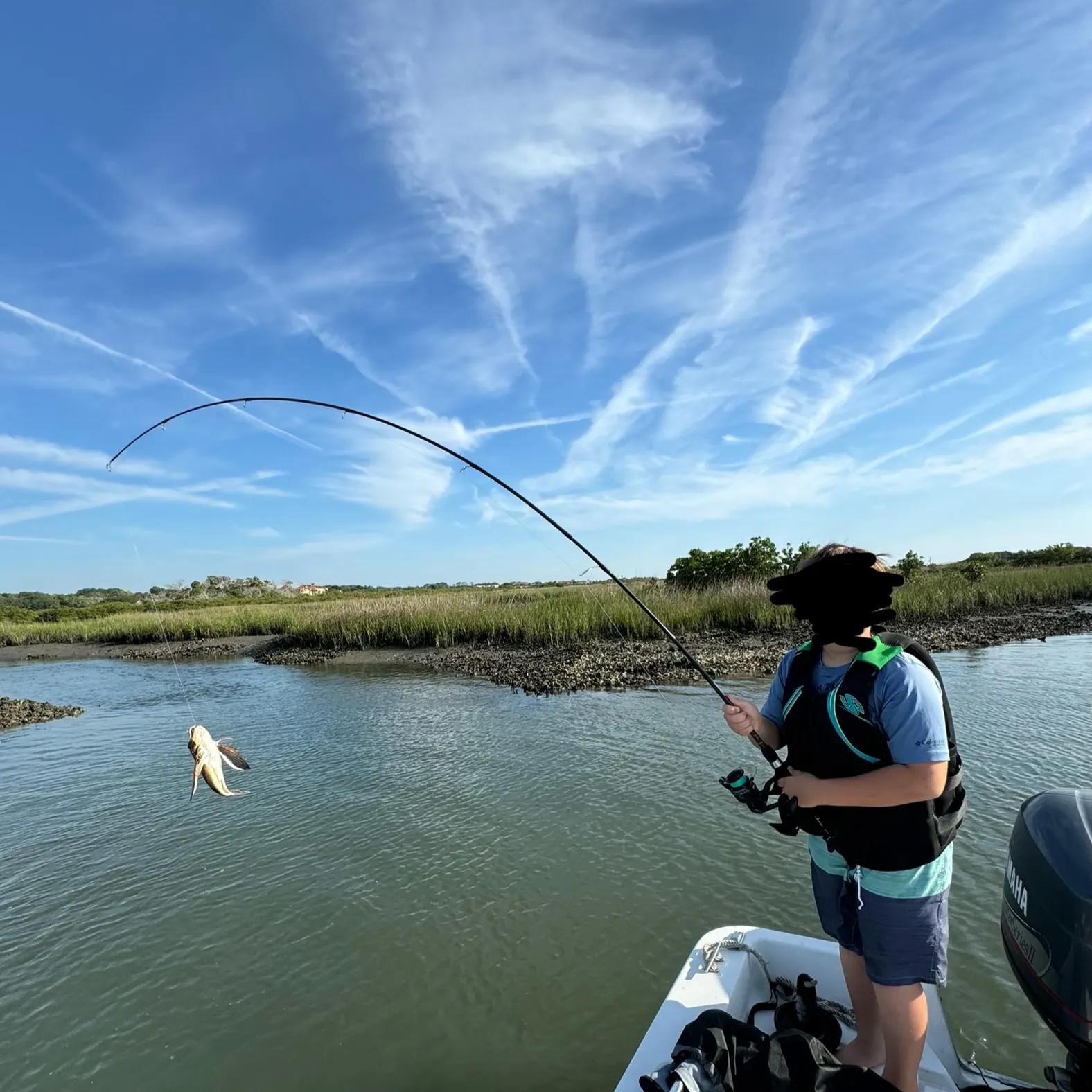 The most recent Mud sunfish catches on Fishbrain