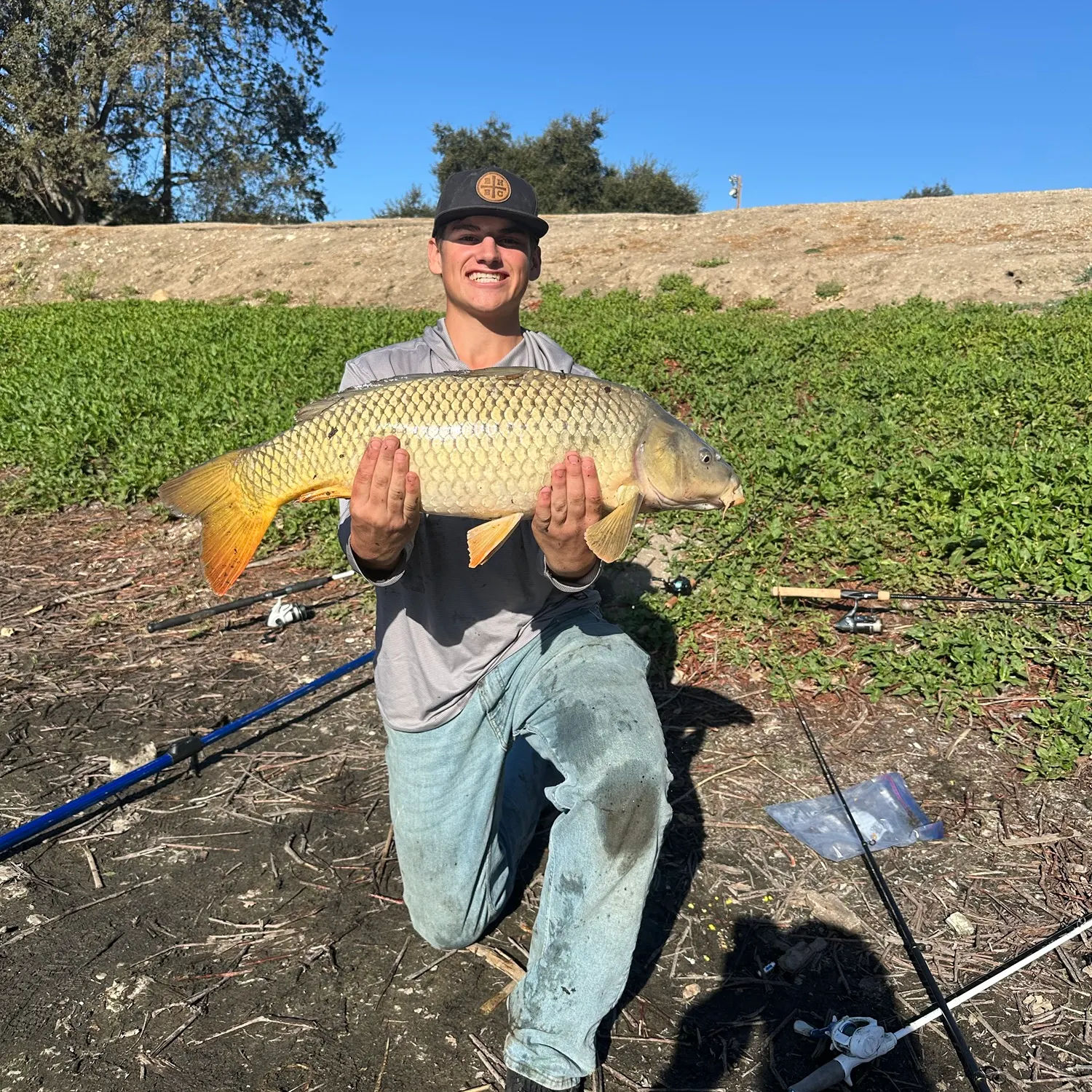 Common carp caught on Fishbrain