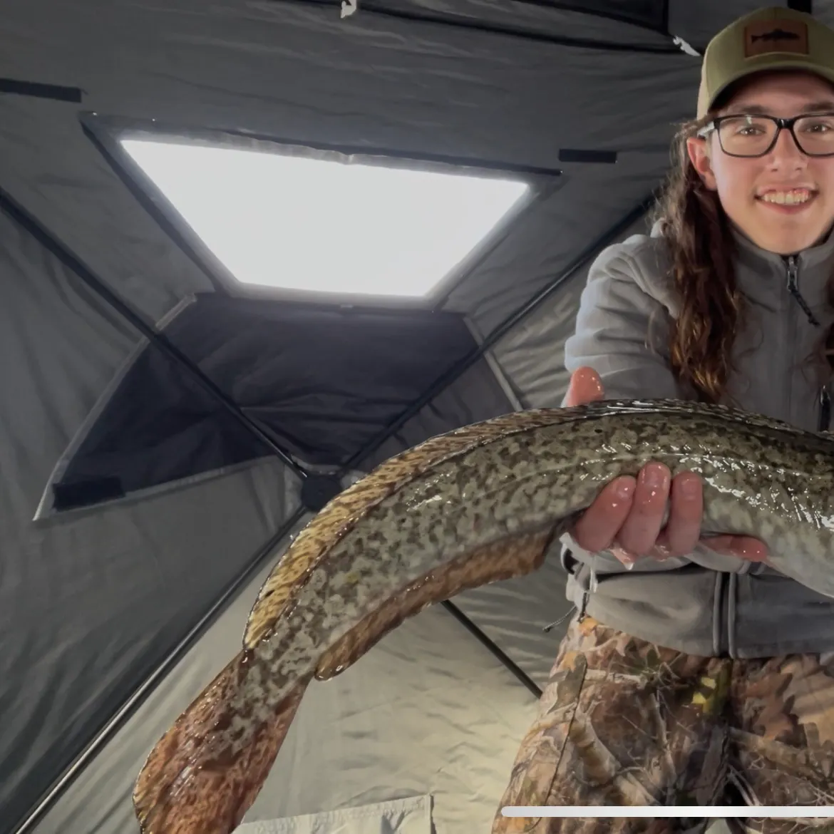 The most recent Burbot catches on Fishbrain