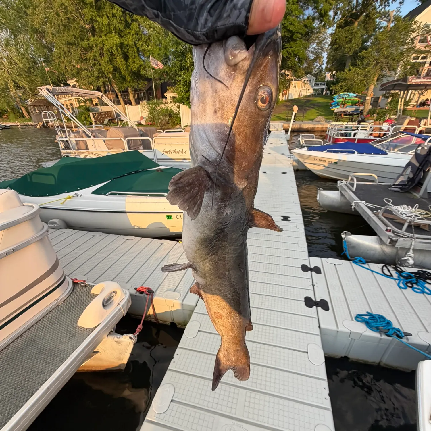 catch