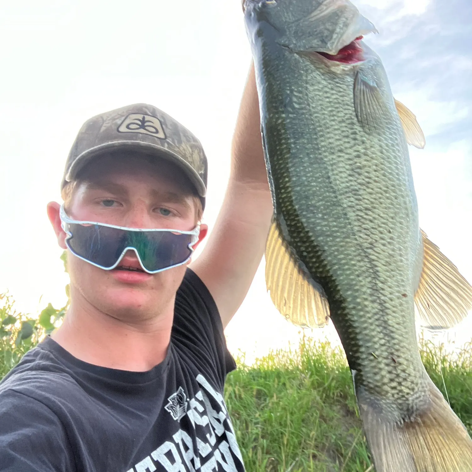 Largemouth bass caught on Fishbrain