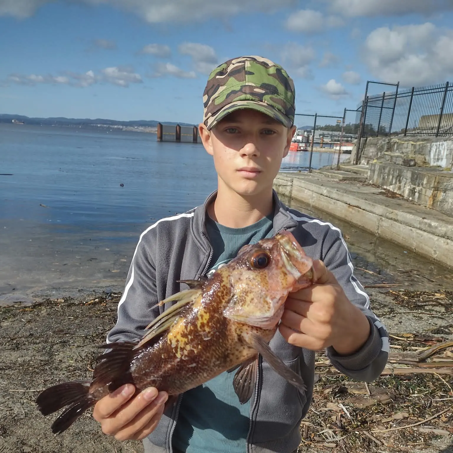 Quillback rockfish caught on Fishbrain