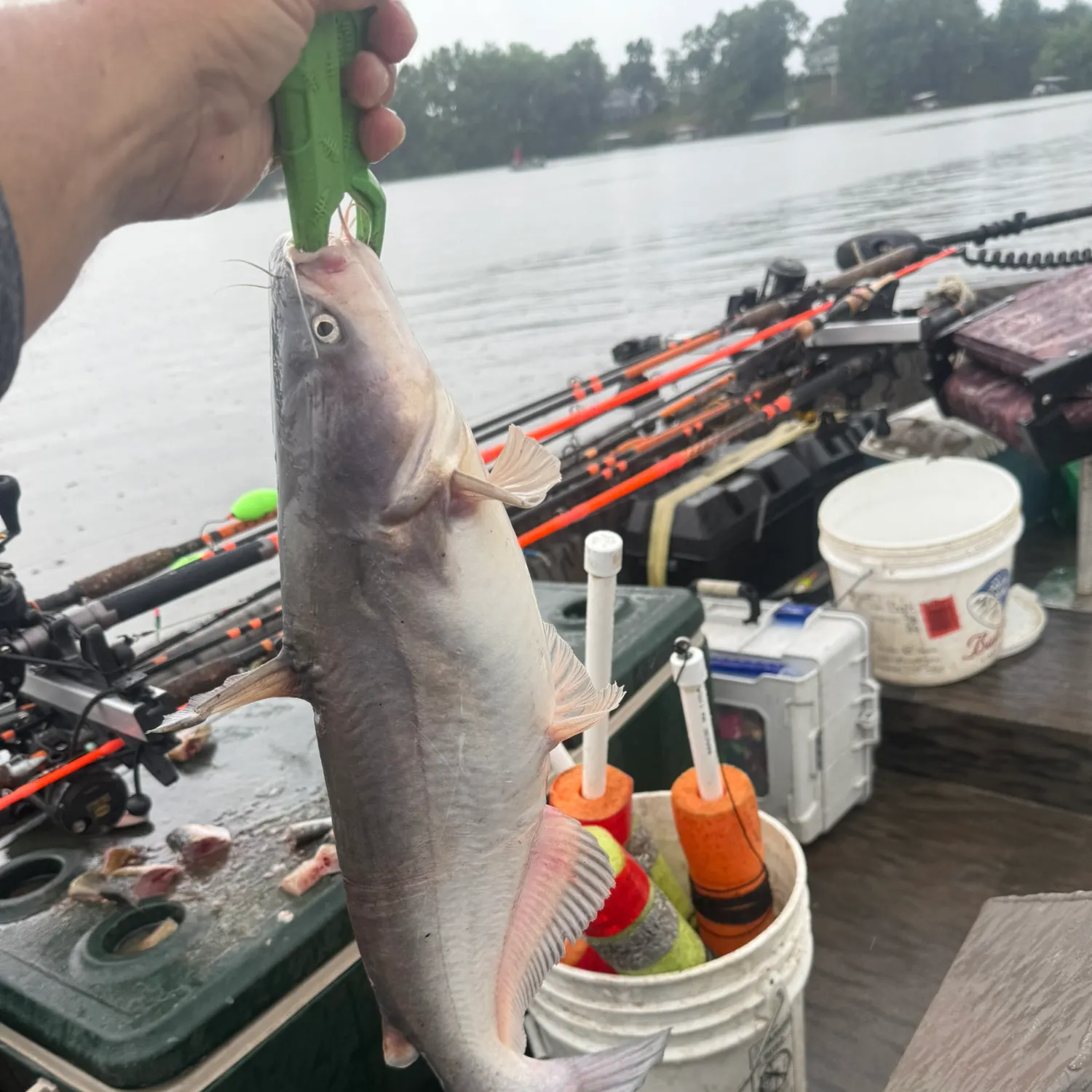 catch