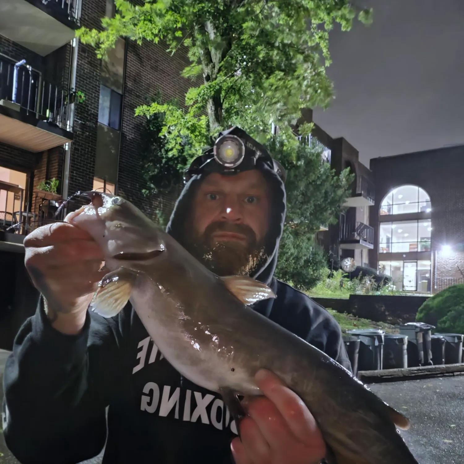 Channel catfish caught on Fishbrain