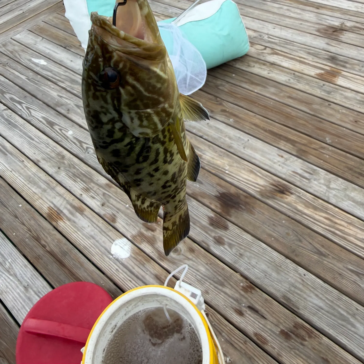 catch