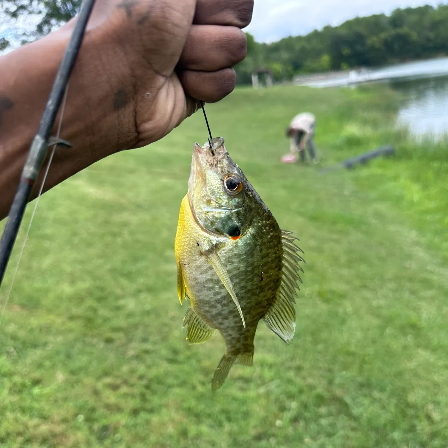 catch
