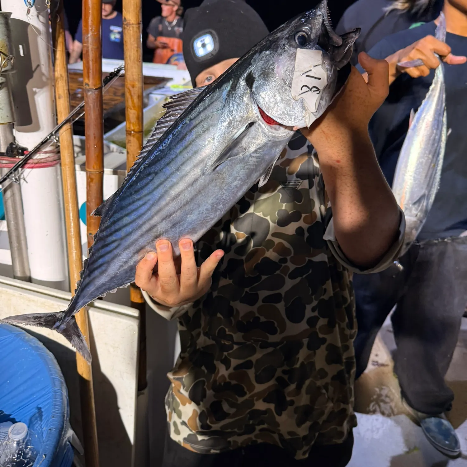 Pacific bonito caught on Fishbrain