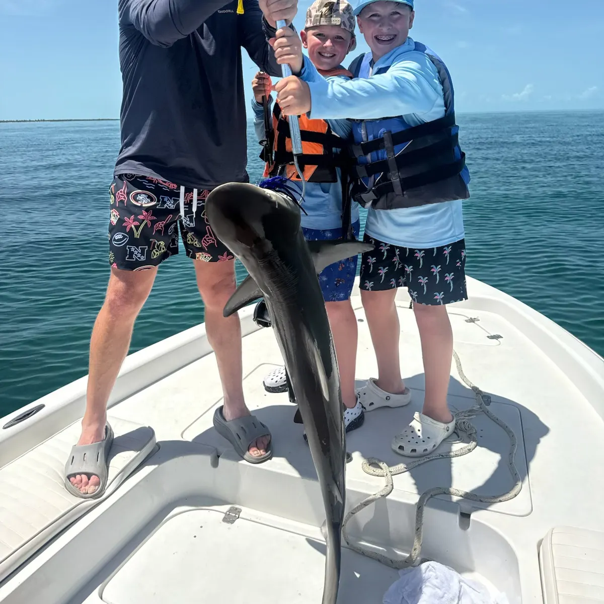Blacktip shark caught on Fishbrain