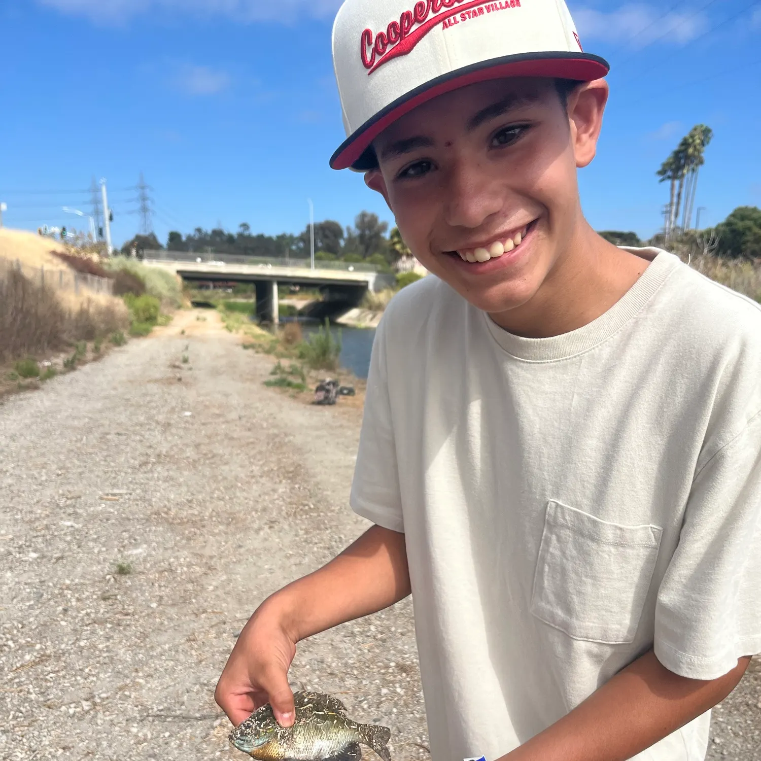 Bluegill caught on Fishbrain