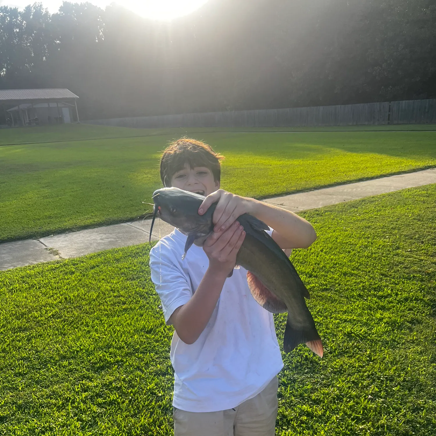 Channel catfish caught on Fishbrain
