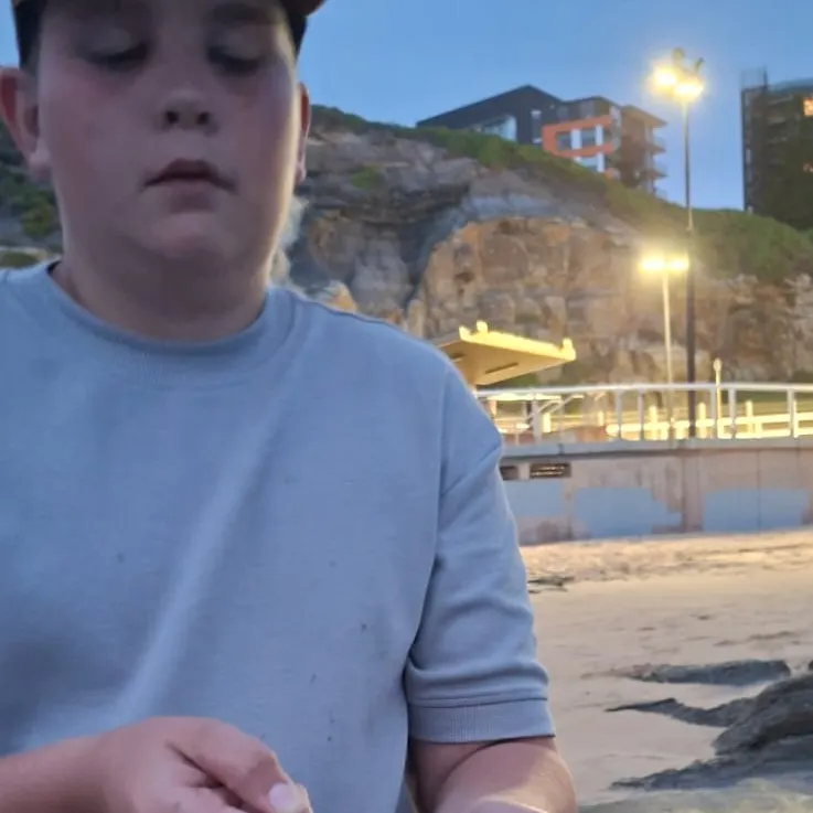 The most recent Swallowtail dart catches on Fishbrain