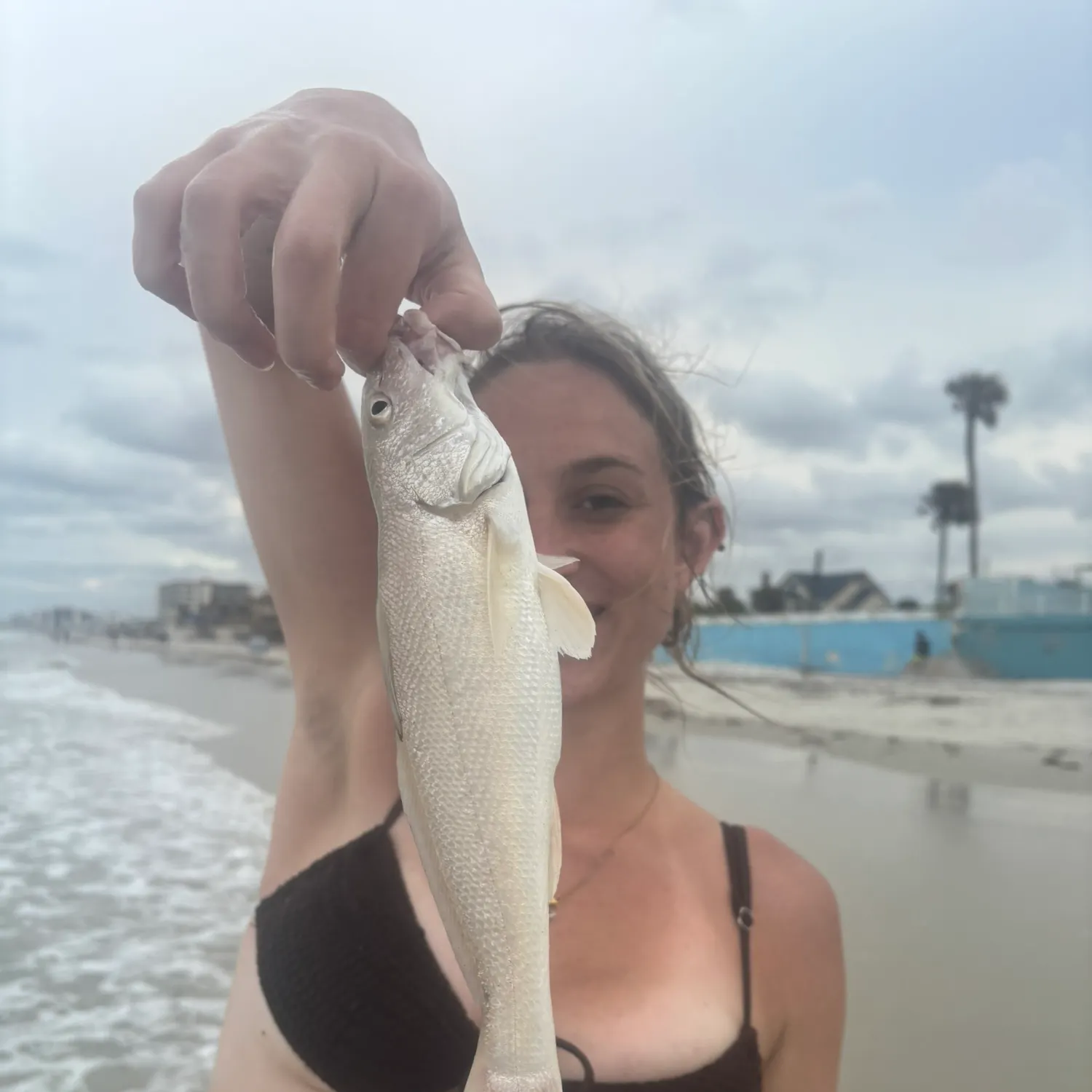 The most recent Gulf kingcroaker catches on Fishbrain