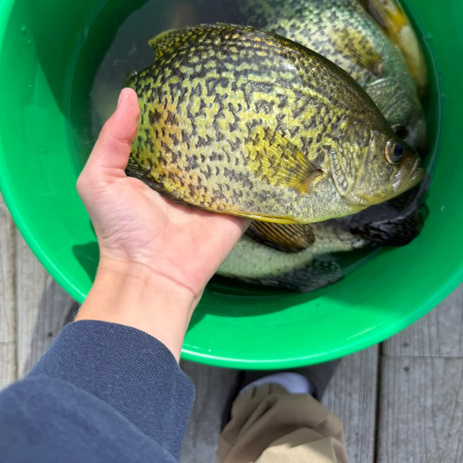 catch