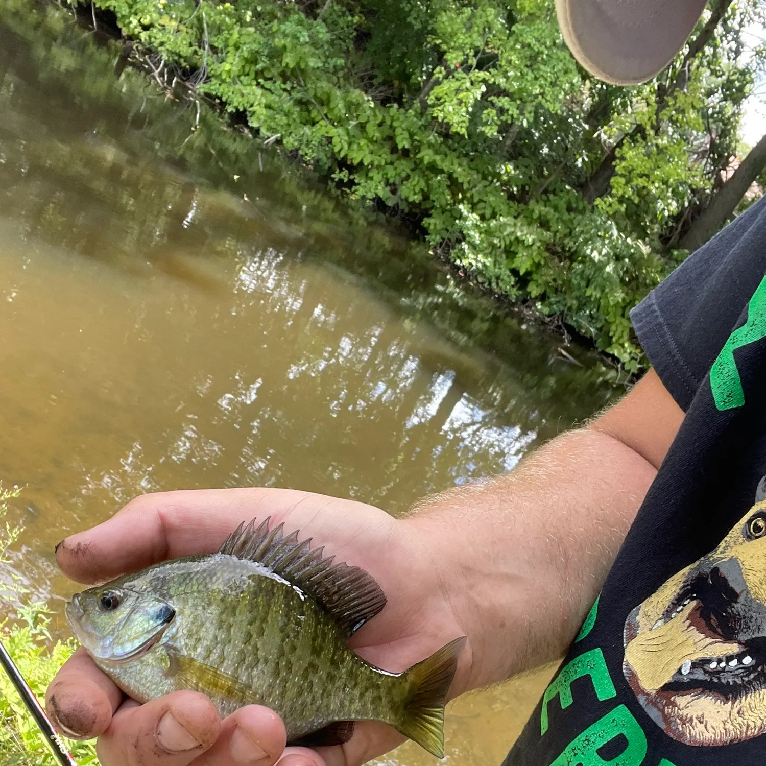 Fish caught on Fishbrain