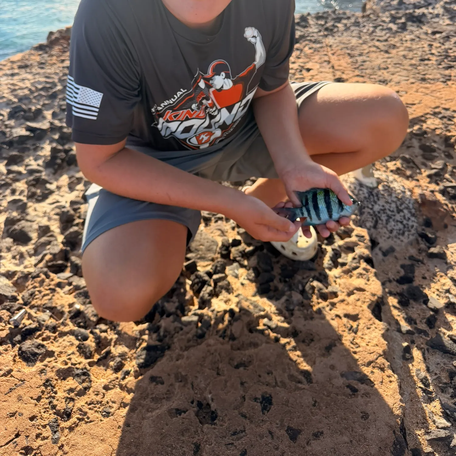 The most recent Hawaiian sergeant major catches on Fishbrain