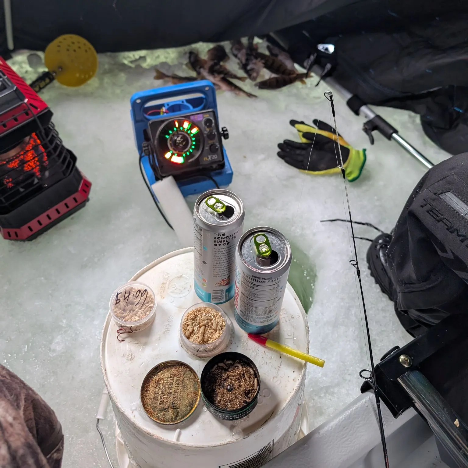 The most recent Yellow perch catches on Fishbrain