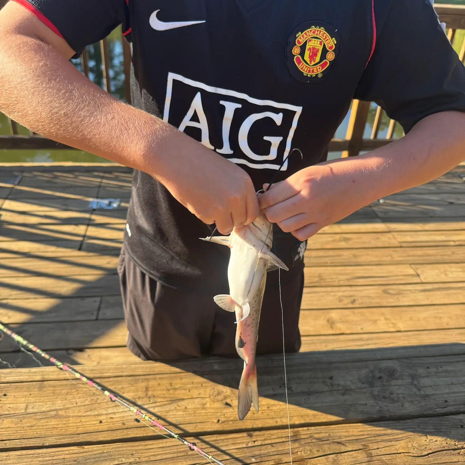 Channel catfish caught on Fishbrain