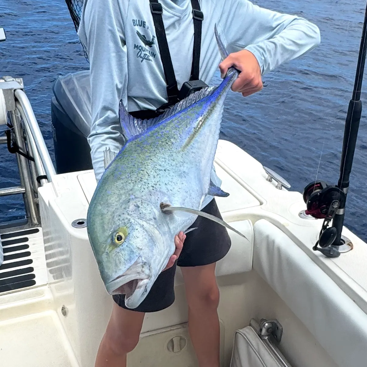 The most recent Bluefin trevally catches on Fishbrain