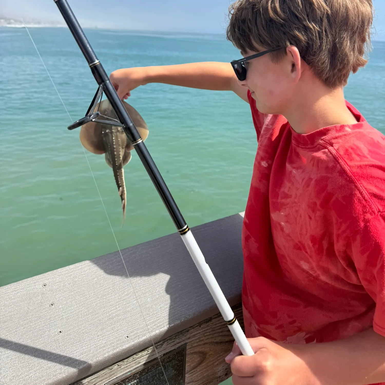 The most recent Thornback guitarfish catches on Fishbrain