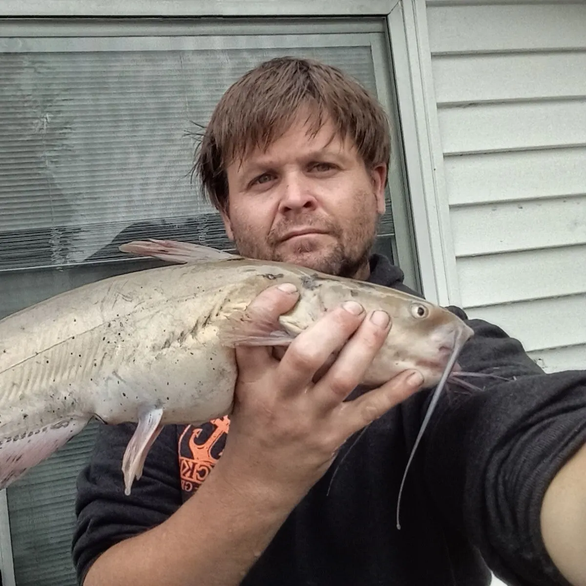 Channel catfish caught on Fishbrain