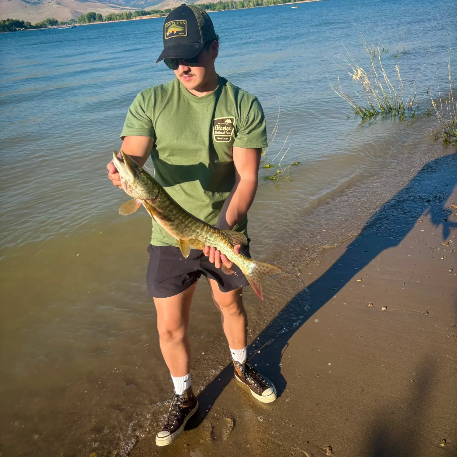 The most recent Tiger muskellunge catches on Fishbrain
