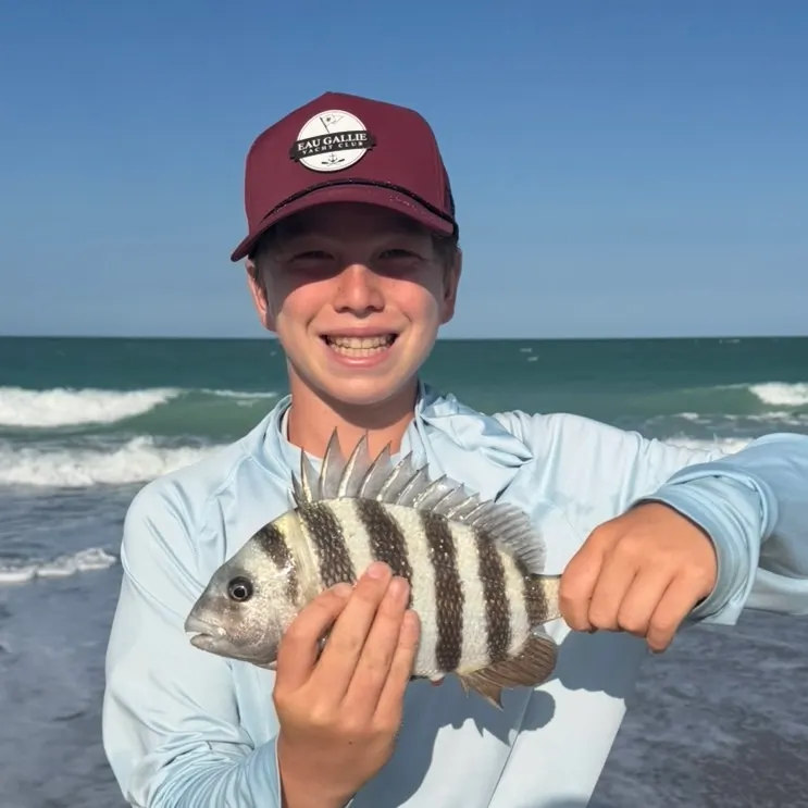 The most recent Sheepshead catches on Fishbrain