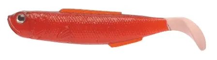 Saltwater Mullet
