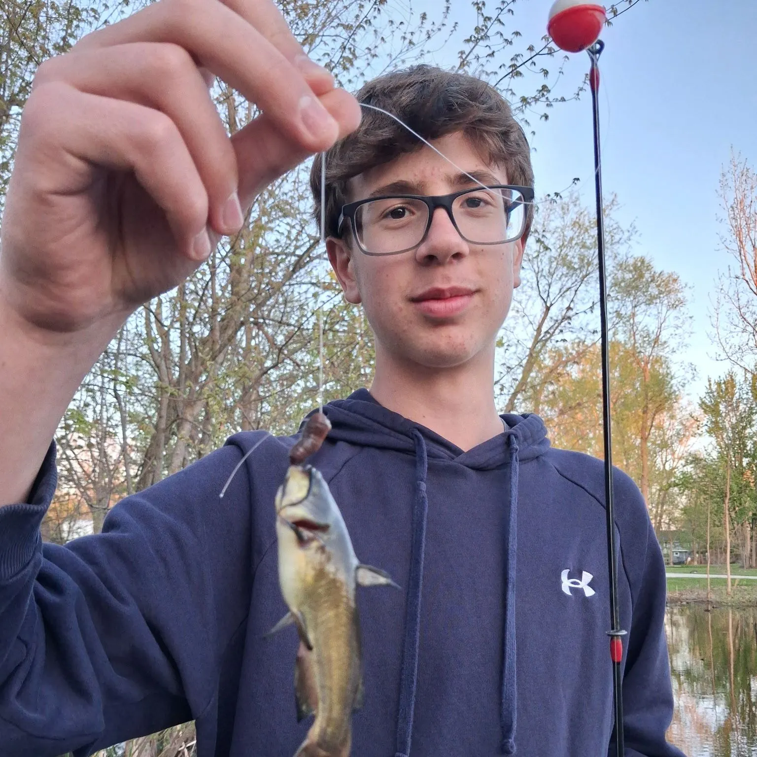The most recent Black bullhead catches on Fishbrain